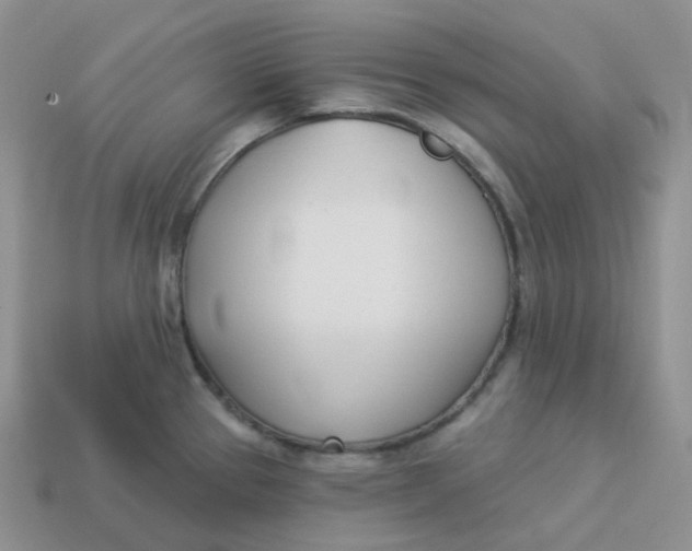 X0000113921337200910151431