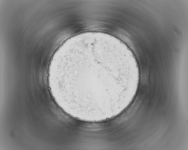 X0000113921338200910151431