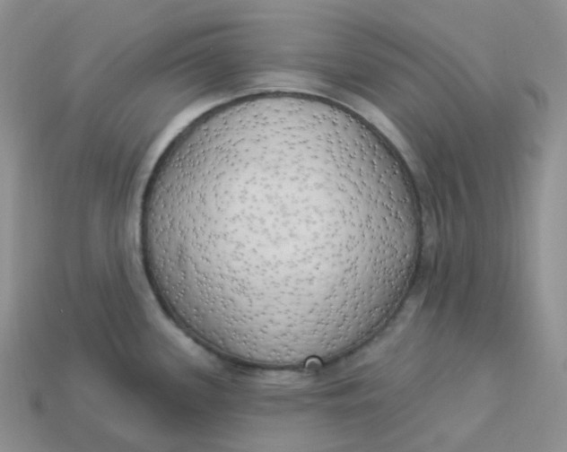 X0000113921339200910151431