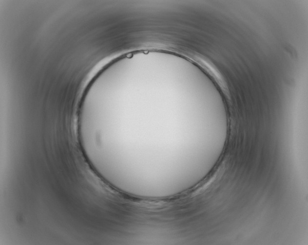 X0000113921340200910151431