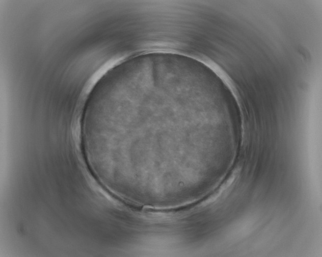 X0000113921341200910151431