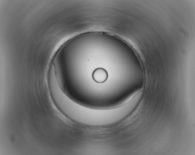 X0000113921342200910151431