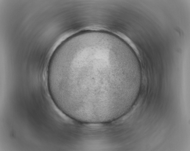 X0000113921343200910151431