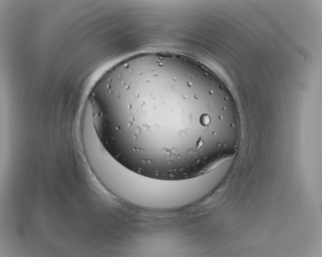X0000113921344200910151431