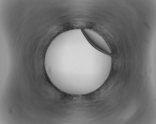 X0000113921345200910151431