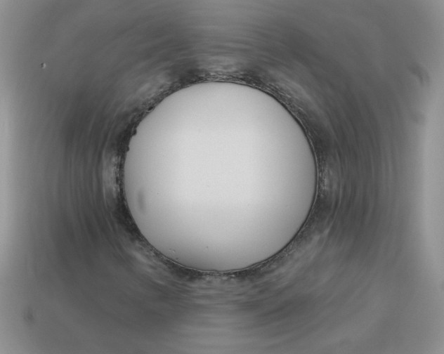 X0000113921346200910151431