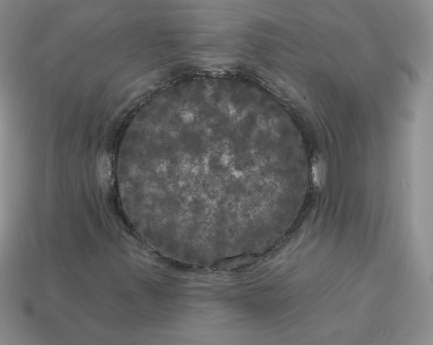 X0000113921347200910151431