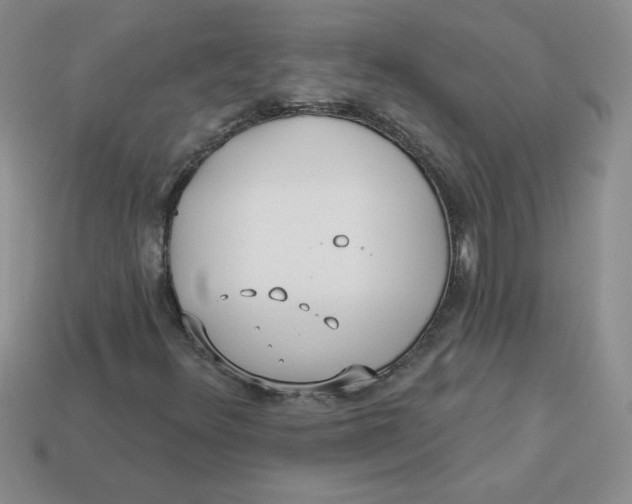 X0000113921348200910151431