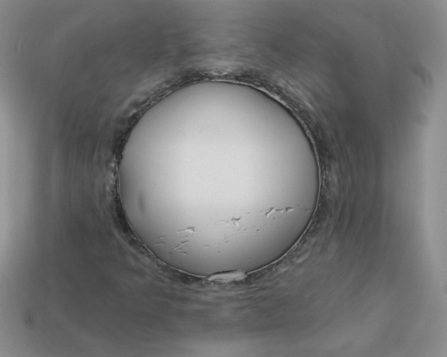 X0000113921349200910151430