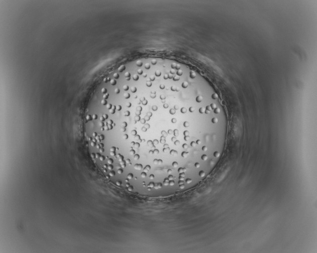 X0000113921350200910151430