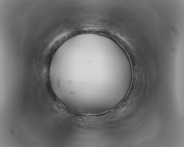 X0000113921351200910151430