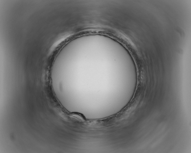 X0000113921352200910151430