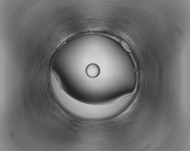 X0000113921353200910151430