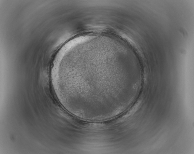 X0000113921354200910151430