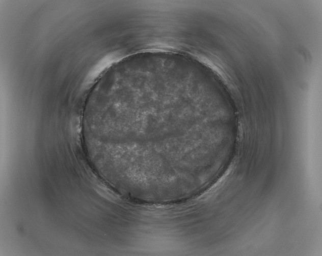 X0000113921355200910151430