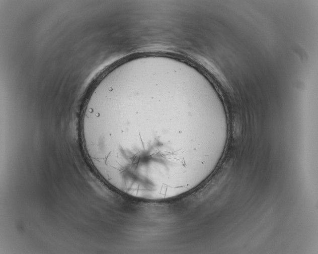X0000113921356200910151430
