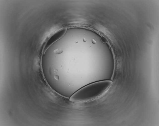 X0000113921357200910151430