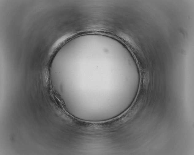 X0000113921358200910151430