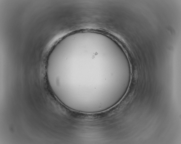 X0000113921359200910151430