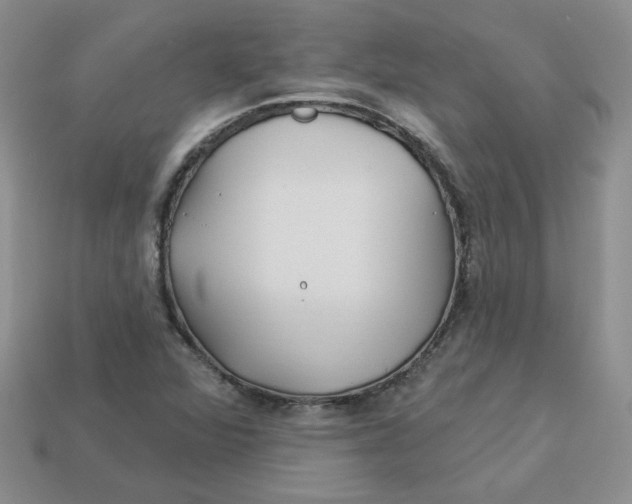 X0000113921360200910151430