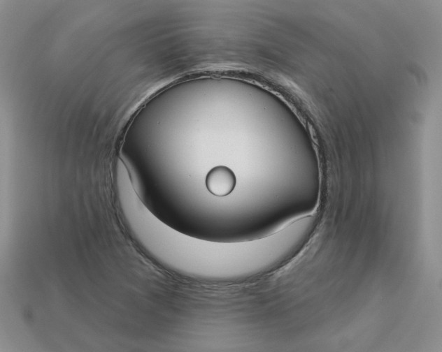 X0000113921361200910151430