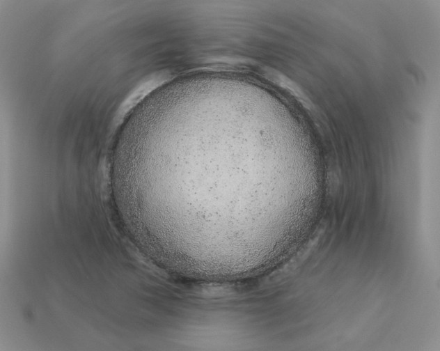 X0000113921362200910151430