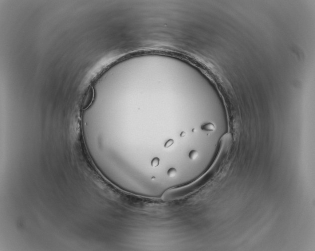 X0000113921363200910151430