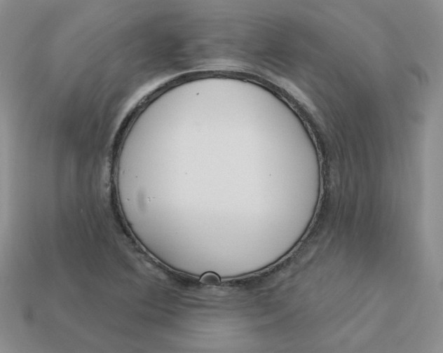 X0000113921364200910151430