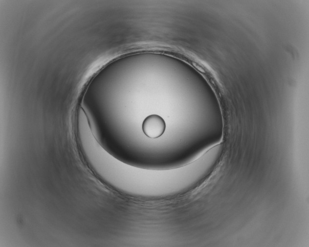 X0000113921365200910151430
