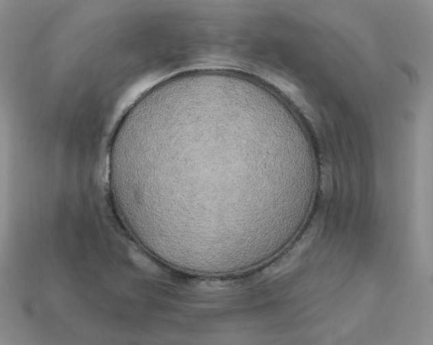 X0000113921366200910151430