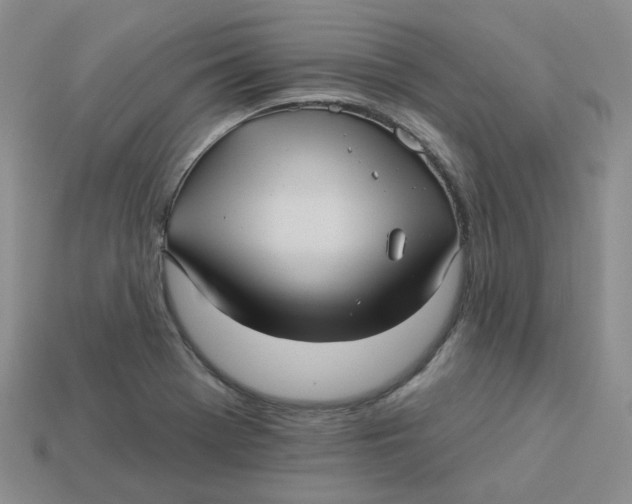 X0000113921369200910151430