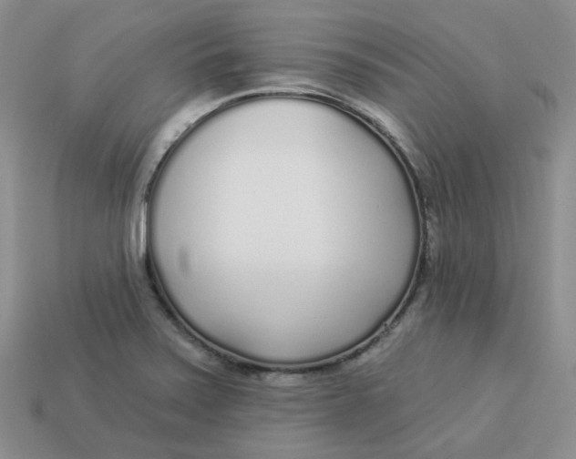 X0000113921371200910151430