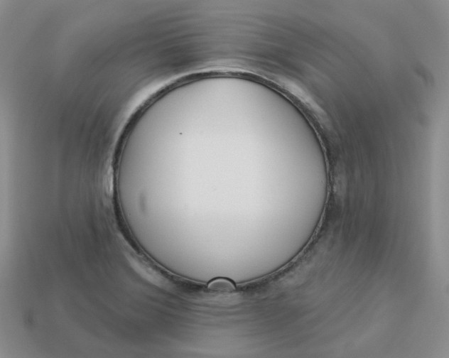 X0000113921372200910151430