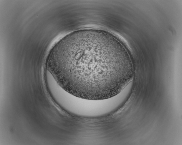 X0000113921373200910151430
