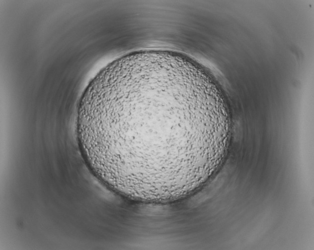 X0000113921374200910151430