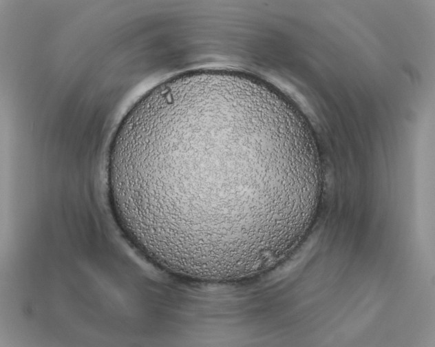 X0000113921375200910151430
