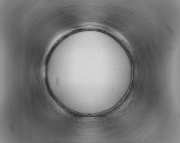 X0000113921376200910151430