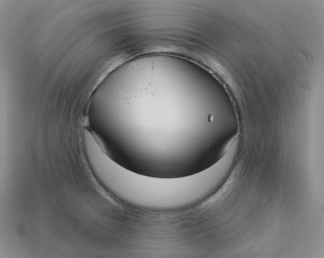 X0000113921377200910151430