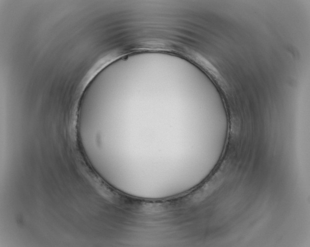 X0000113921378200910151430