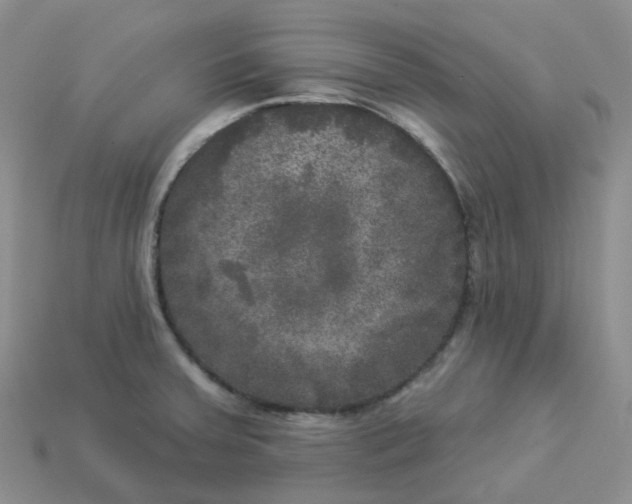 X0000113921379200910151430