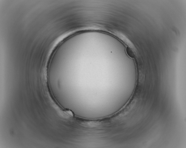 X0000113921380200910151430