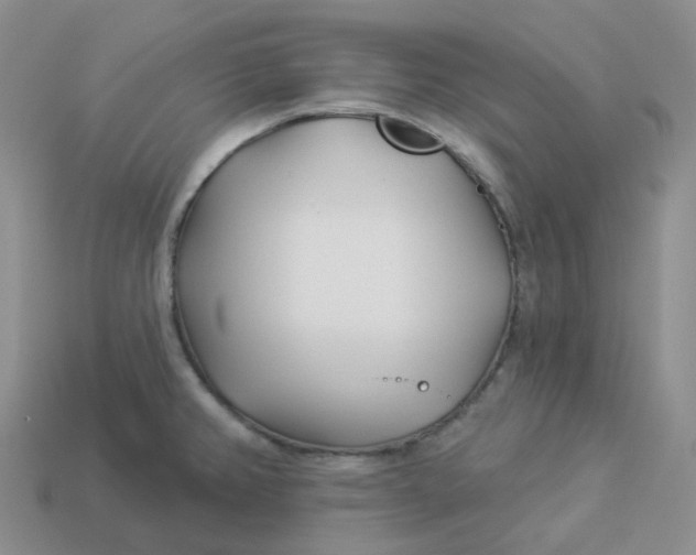 X0000113921382200910151430