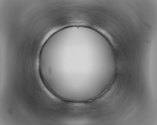 X0000113921383200910151430