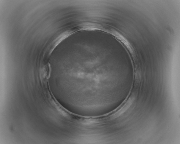 X0000113921385200910151430