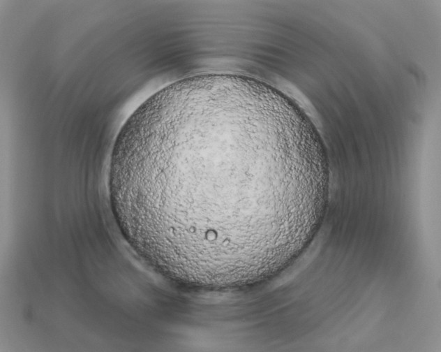 X0000113921386200910151430
