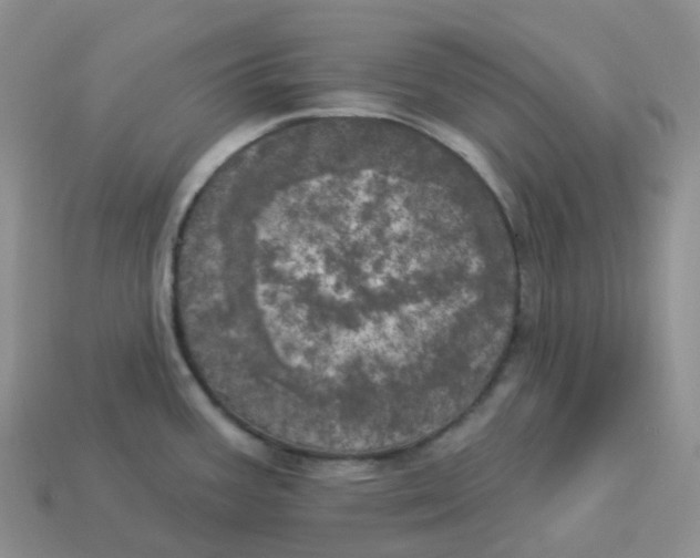 X0000113921387200910151430