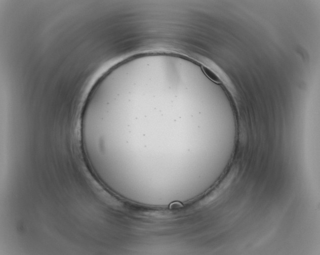 X0000113921388200910151430