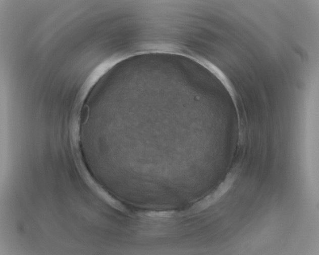 X0000113921389200910151430