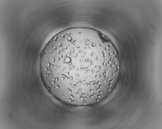 X0000113921390200910151430
