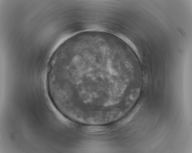 X0000113921391200910151430